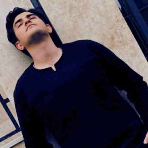 دانلود آهنگ گفتی عاشقمی لطف شمائه
